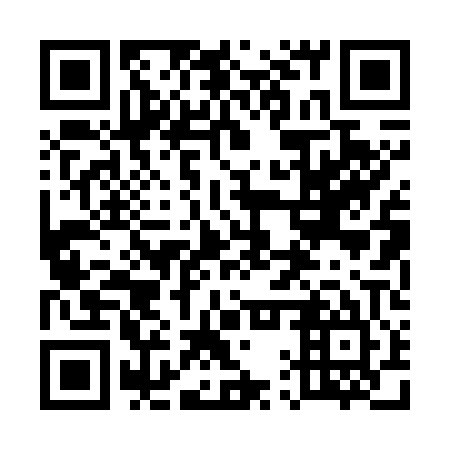 QR code for plate 51P 705