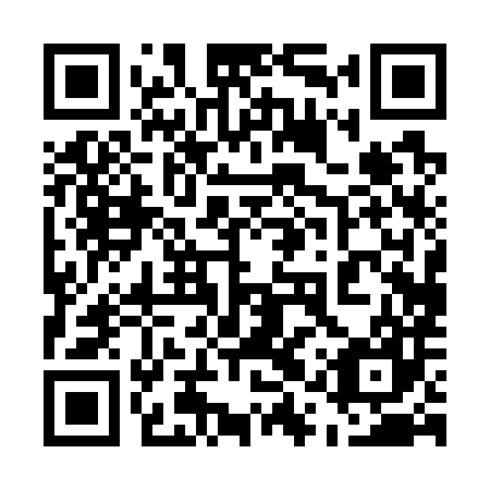 QR code for plate 51P 787