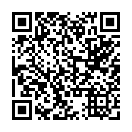 QR code for 51Q 229