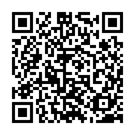 QR code for 51Q 370