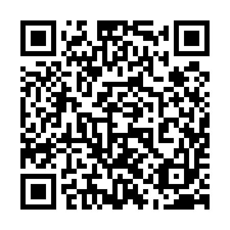 QR code for 51Q 593