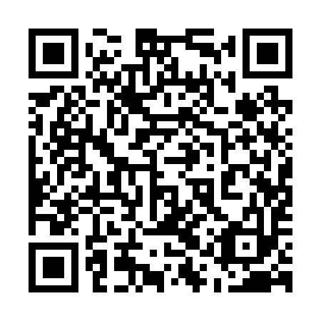 QR code for 51Q293