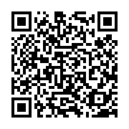 QR code for 51T 438