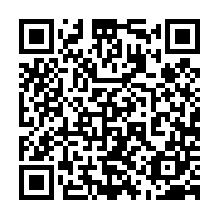 QR code for plate 51T 440