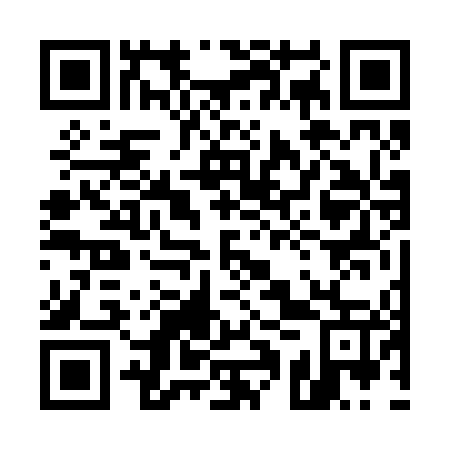 QR code for plate 51V 247