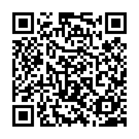 QR code for plate 51V 425