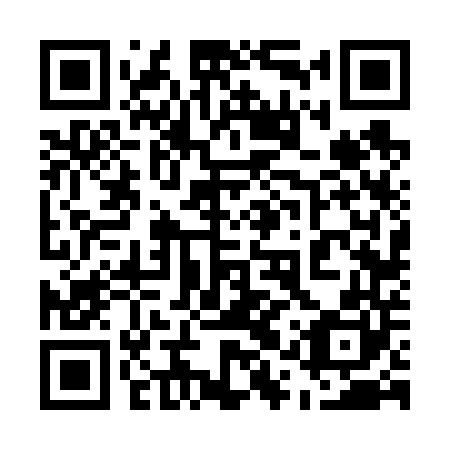QR code for plate 51V 640