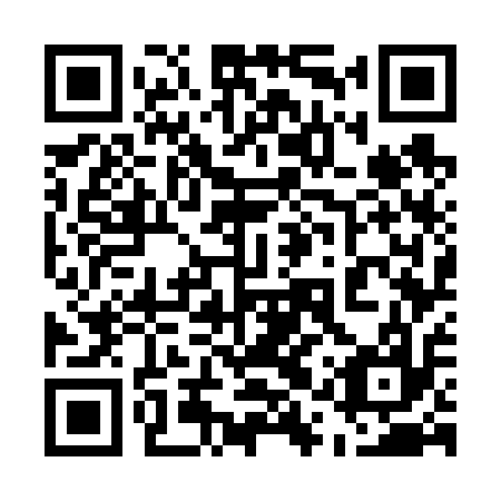 QR code for plate 51W 617