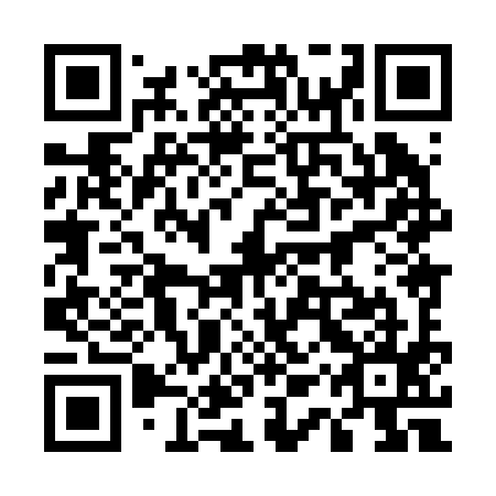 QR code for 51X 295
