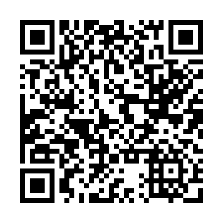 QR code for plate 51X 317