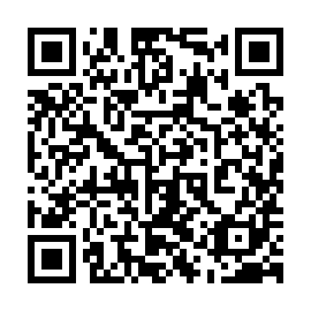 QR code for 51Y381
