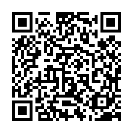QR code for 51Z 461