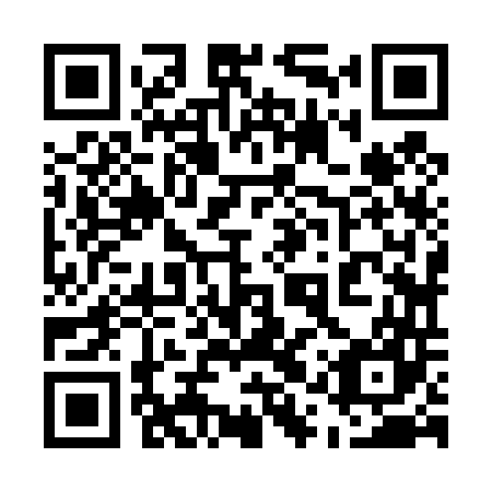 QR code for plate 51Z 447