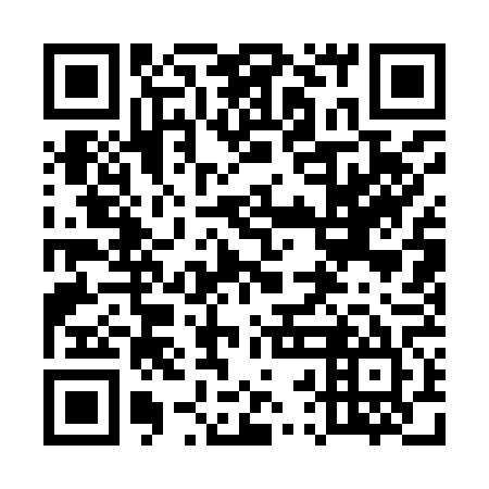 QR code for plate 52A 965