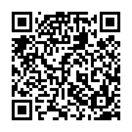 QR code for plate 52D 436