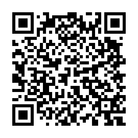 QR code for plate 52E 410