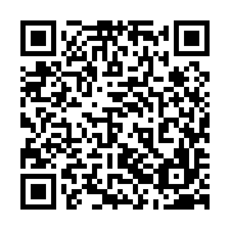 QR code for plate 52M 196