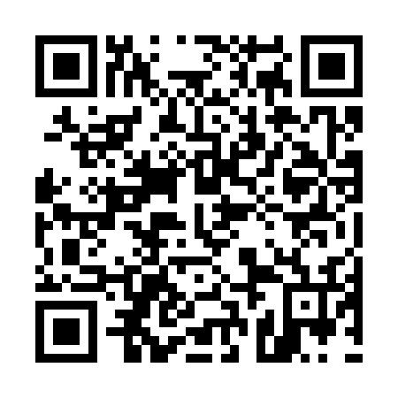 QR code for plate 52N 336