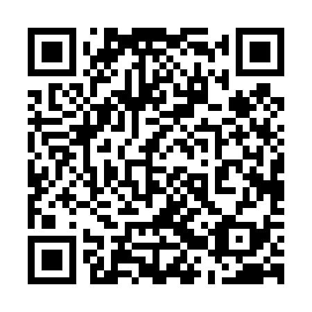 QR code for plate 52P 439