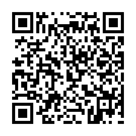 QR code for 52Q 739