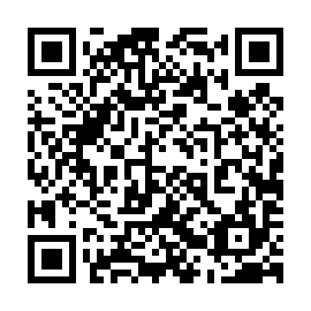 QR code for plate 52T 494