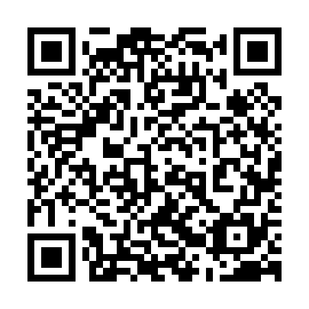 QR code for plate 52V 075