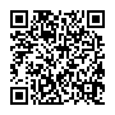 QR code for plate 52W 384