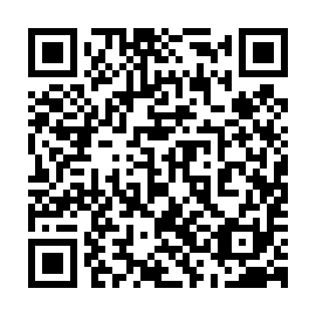 QR code for plate 53A 491