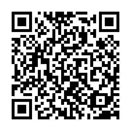 QR code for plate 53B 019