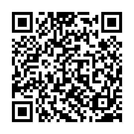 QR code for plate 53E 013