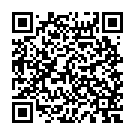 QR code for 53G382