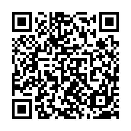 QR code for 53H 317