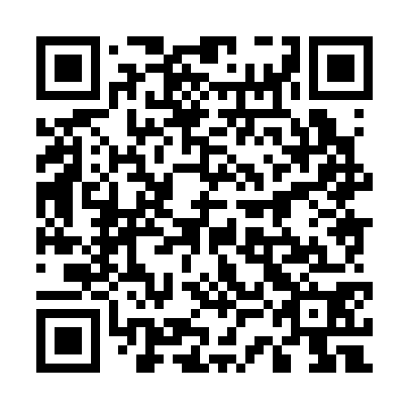 QR code for plate 53H 370