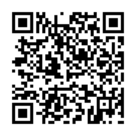 QR code for plate 53I 536
