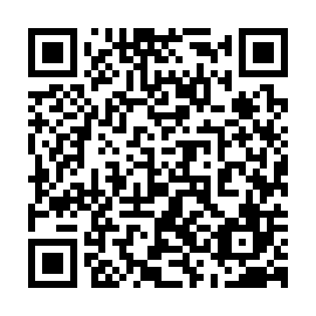 QR code for plate 53M 306