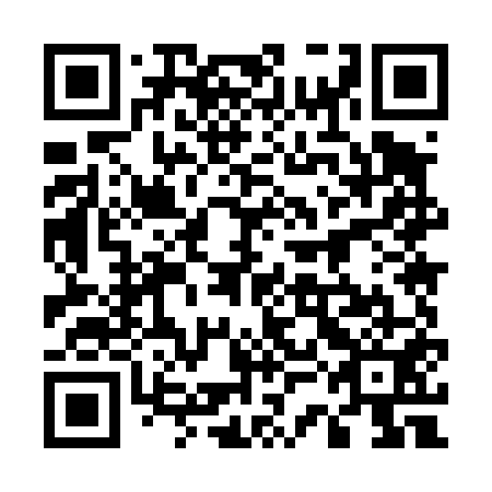 QR code for plate 53M 451