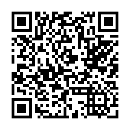 QR code for 53N 636