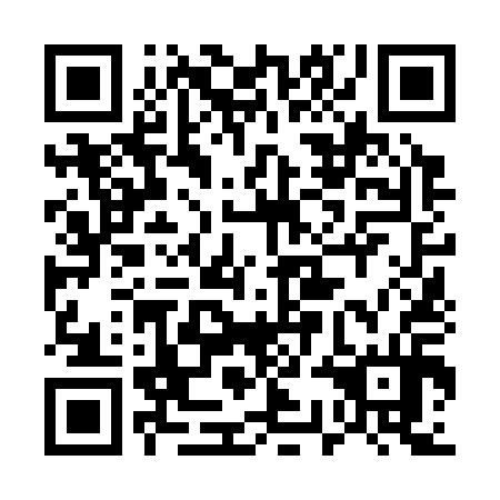 QR code for plate 53N 314