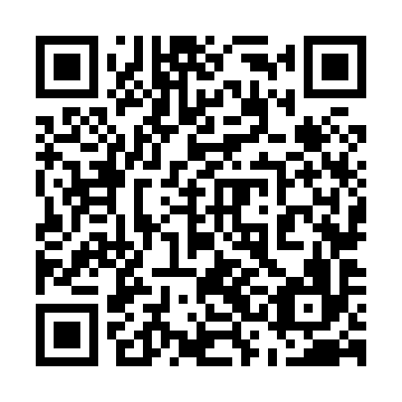 QR code for plate 53N 896