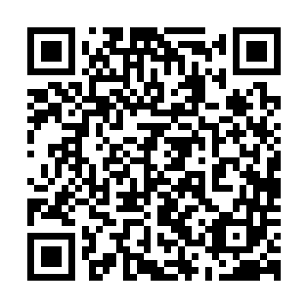 QR code for 53P 343