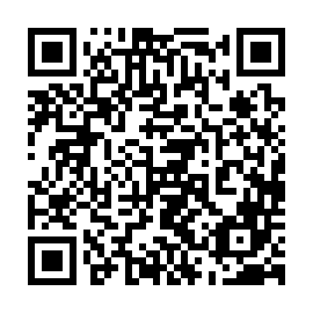 QR code for 53P 346