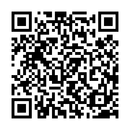 QR code for 53P 433