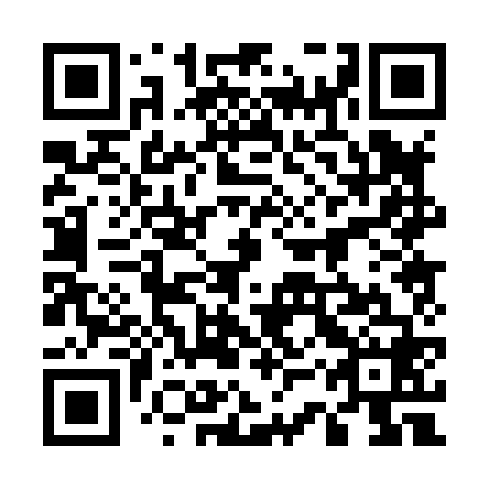QR code for 53P 868