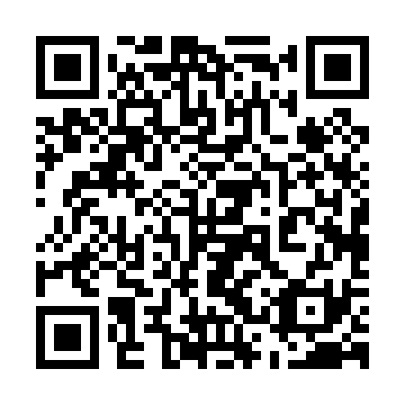 QR code for plate 53P 031
