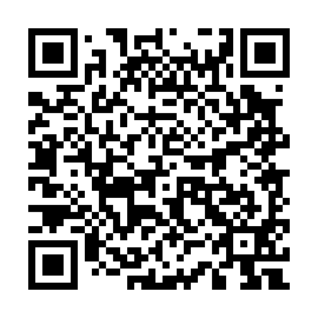 QR code for plate 53P 091