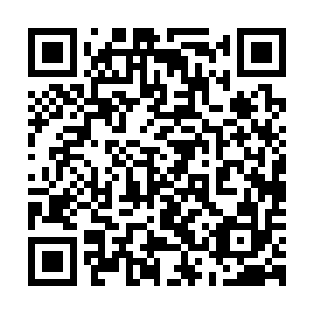 QR code for 53P312