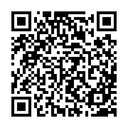 QR code for 53P787