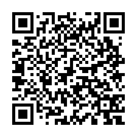 QR code for 53Q334