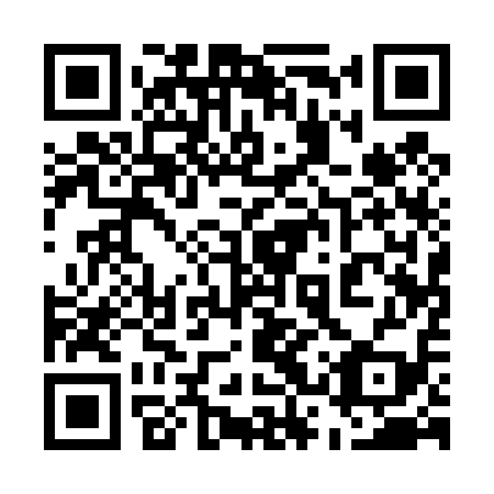 QR code for 53Q419
