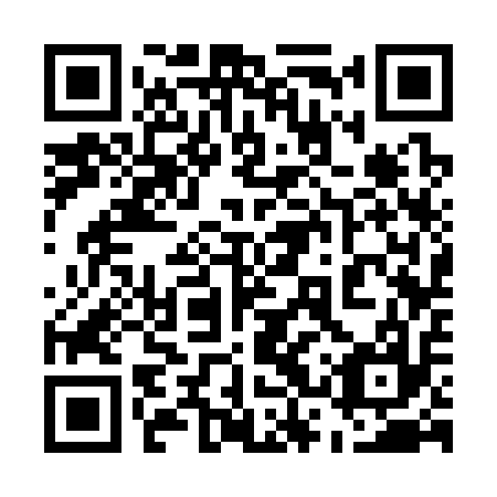 QR code for plate 53S 317